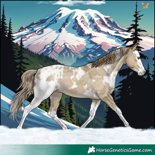 Horse Color:White Spotted Classic Cream Champagne Dun Splash Blanket Rabicano 