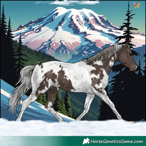 Horse Color:White Spotted Silver Black Tobiano 