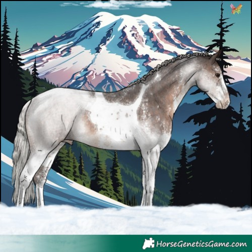 Horse Color:Silver Brown Sabino Tobiano Rabicano 