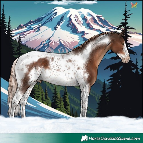 Horse Color:Liver Chestnut Tobiano Frame Appaloosa 