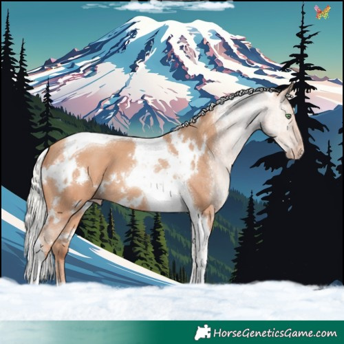 Horse Color:White Spotted Silver Sable Champagne Tobiano 