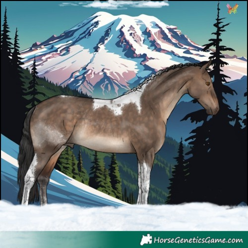 Horse Color:Brown Dun Tobiano Rabicano 