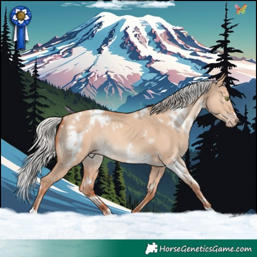 Horse Color:White Spotted Silver Amber Champagne Dun Rabicano 