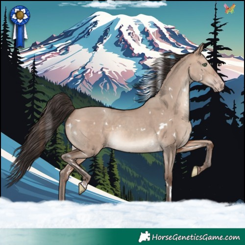 Horse Color:White Spotted Sable Champagne Dun Rabicano 