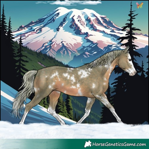 Horse Color:Watercolor White Spotted Silver Black Splash 