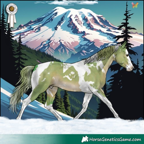Horse Color:Watercolor White Spotted Liver Red Dun Splash Tobiano