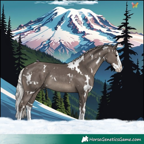 Horse Color:White Spotted Silver Black Splash Rabicano