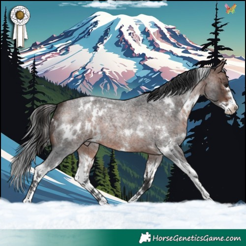 Horse Color:White Spotted Brown Roan Splash 