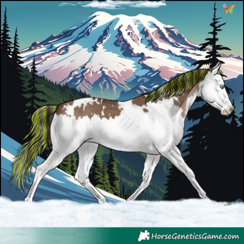 Horse Color:Painted White Spotted Liver Red Dun Splash