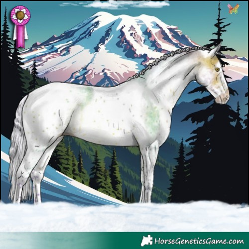 Horse Color:Watercolor White Spotted Silver Bay Tobiano