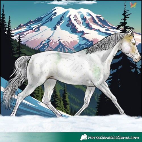Horse Color:Watercolor White Spotted Silver Bay Tobiano 