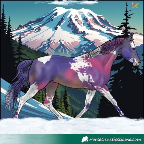 Horse Color:Watercolor Brown Splash Tobiano