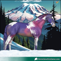 Horse Color:Watercolor Brown Splash Tobiano 