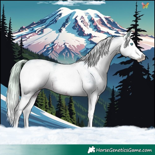 Horse Color:Watercolor White Spotted Silver Brown Splash