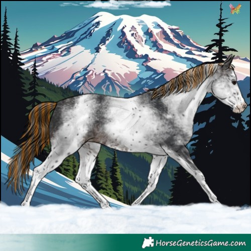 Horse Color:Painted White Spotted Brown