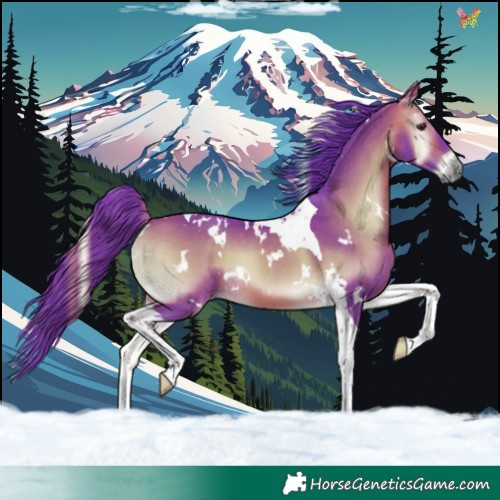 Horse Color:Watercolor White Spotted Bay Onyx Tobiano