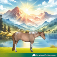 Horse Color:Liver Chestnut Pearl Tobiano Frame 