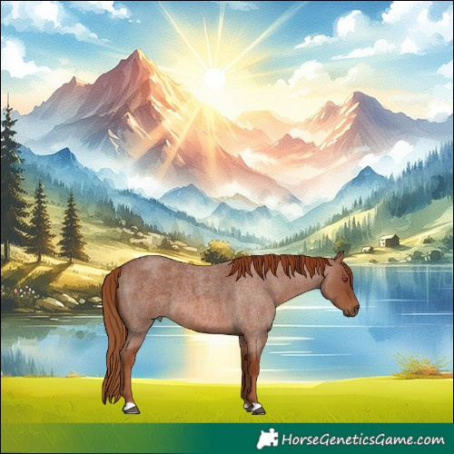 Horse Color:Red Roan 