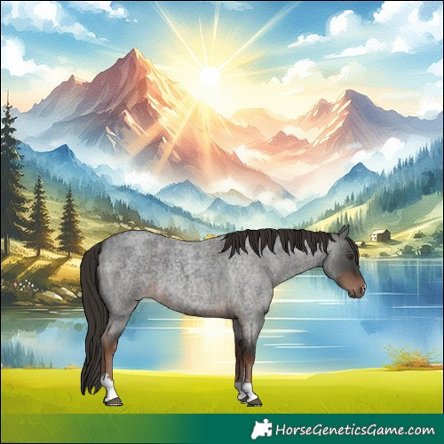 Horse Color:Liver Red Roan 