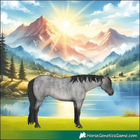 Horse Color:Blue Roan