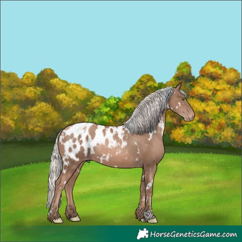 Horse Color:White Spotted Silver Black Pearl Mushroom Appaloosa 