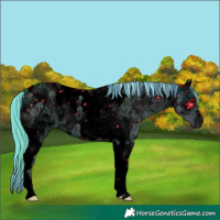 Horse Color:ERROR: UNKNOWN ANOMALY