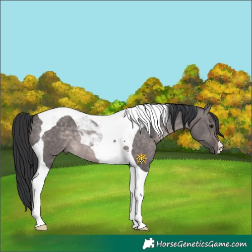 Horse Color:Platinum Brown Dun Tobiano 