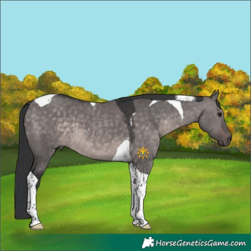 Horse Color:Platinum Brown Dun Tobiano 