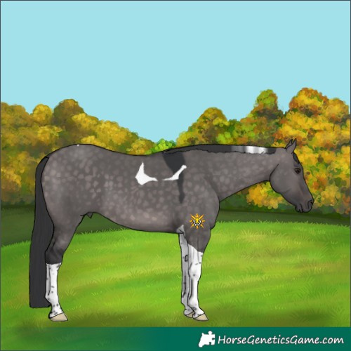Horse Color:Platinum Brown Dun Tobiano 