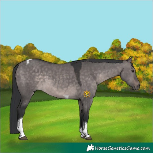 Horse Color:Platinum Brown Dun Tobiano 