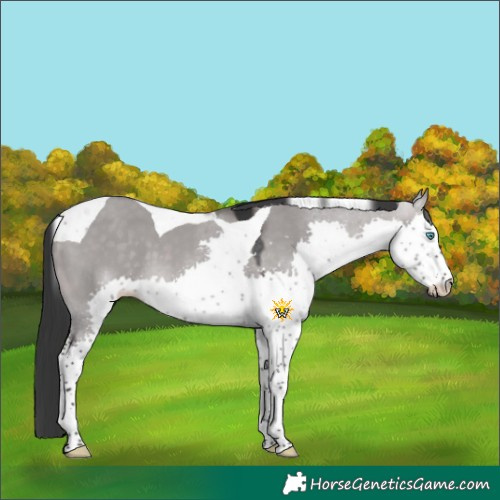 Horse Color:Platinum Brown Dun Splash Tobiano 