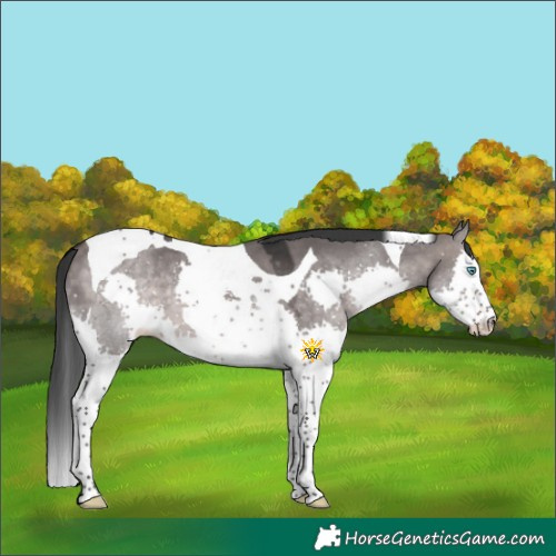 Horse Color:Platinum Brown Dun Splash Tobiano 