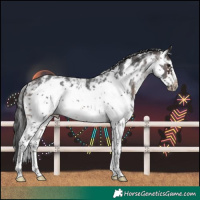 Horse Color:Bay Sabino Frame Rabicano