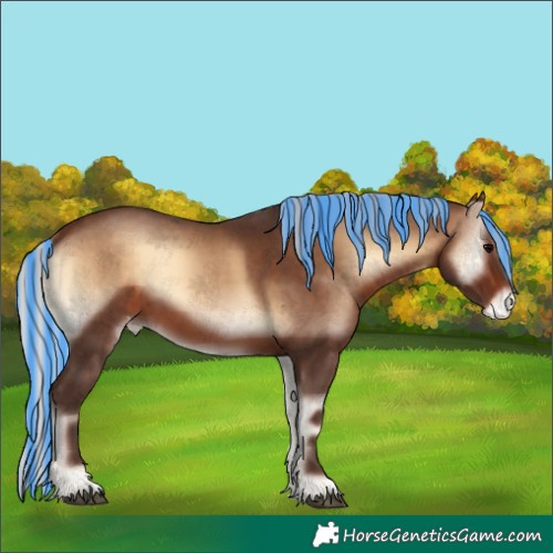 Horse Color:Void Painted Silver Brown Onyx Skewed Appaloosa