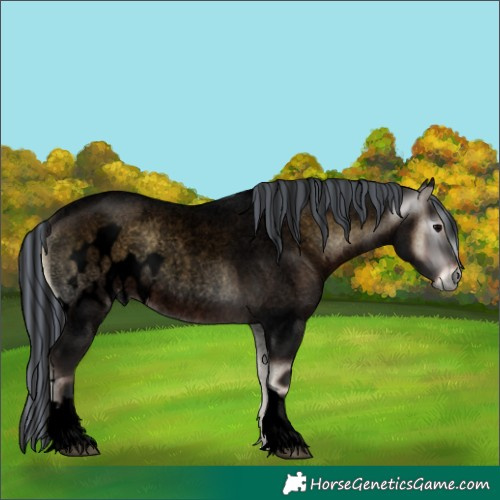 Horse Color:Gray Void Painted Brown Roan Onyx Tobiano Skewed LP Spotted 