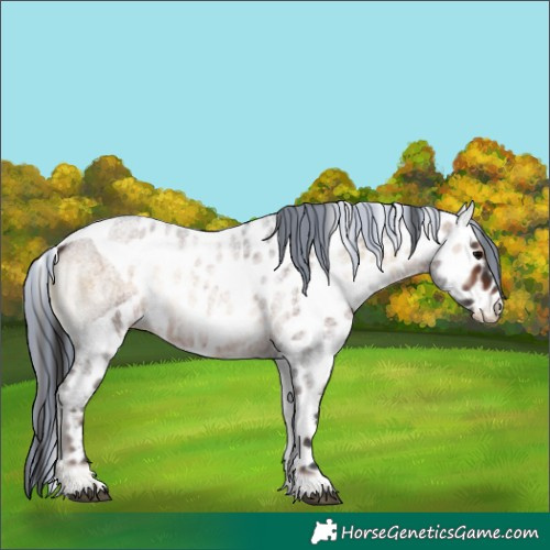 Horse Color:Painted Brown Roan Onyx Skewed LP Spotted 