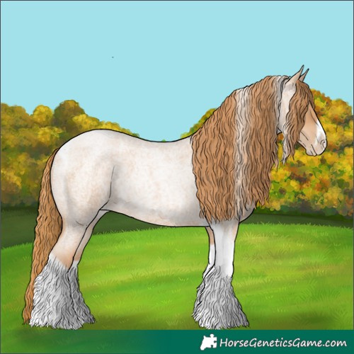 Horse Color:Red Roan Pearl Tobiano Frame