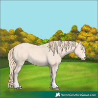 Horse Color:Perlino 