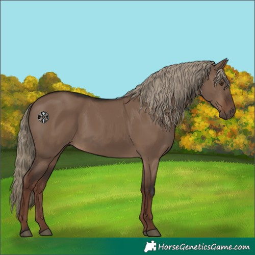 Horse Color:Liver Red Dun Rabicano