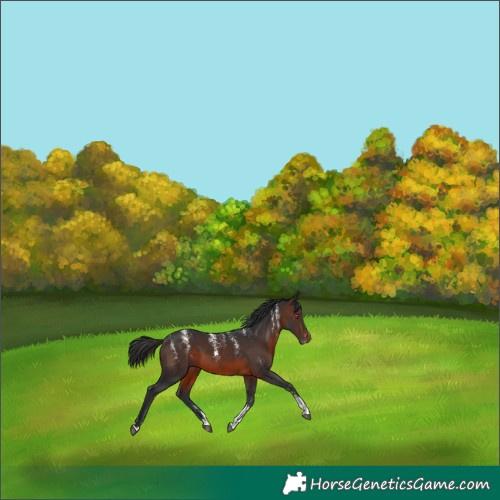 Horse Color:Powder White Brown 