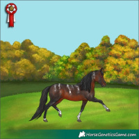 Horse Color:Powder White Brown