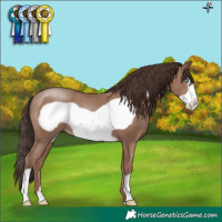 Horse Color:Classic Champagne Frame 