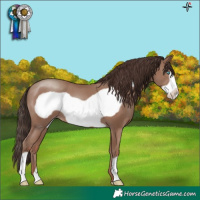 Horse Color:Classic Champagne Frame