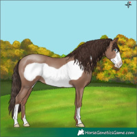 Horse Color:Classic Champagne Frame