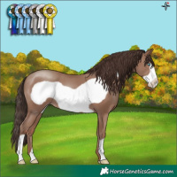 Horse Color:Classic Champagne Frame
