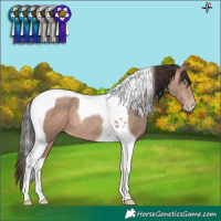 Horse Color:Sable Champagne Tobiano 