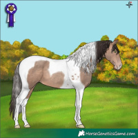 Horse Color:Sable Champagne Tobiano
