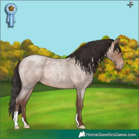 Horse Color:Sable Champagne Roan 