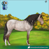 Horse Color:Sable Champagne Roan