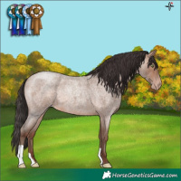Horse Color:Sable Champagne Roan
